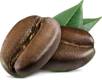 coffee-bean coffee-bean